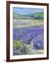 LAVENDAR-ALLAYN STEVENS-Framed Art Print