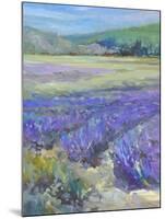 LAVENDAR-ALLAYN STEVENS-Mounted Art Print