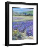 LAVENDAR-ALLAYN STEVENS-Framed Art Print