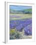 LAVENDAR-ALLAYN STEVENS-Framed Art Print