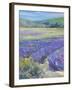 LAVENDAR-ALLAYN STEVENS-Framed Art Print