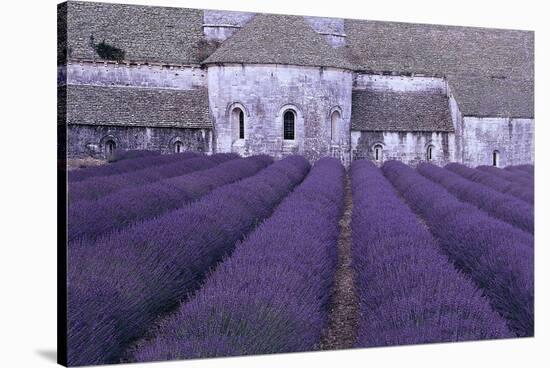 Lavender Abbey-Greg Gawlowski-Stretched Canvas