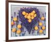 Lavender and Abricot-null-Framed Art Print