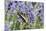 Lavender and Butterfly II-Dana Styber-Mounted Photographic Print