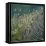 Lavender and Daisies, 2010-Sophia Elliot-Framed Stretched Canvas