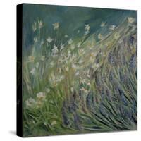 Lavender and Daisies, 2010-Sophia Elliot-Stretched Canvas