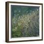 Lavender and Daisies, 2010-Sophia Elliot-Framed Giclee Print