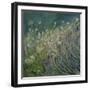 Lavender and Daisies, 2010-Sophia Elliot-Framed Giclee Print