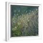 Lavender and Daisies, 2010-Sophia Elliot-Framed Giclee Print