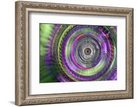 Lavender and leaves-Heidi Westum-Framed Photographic Print