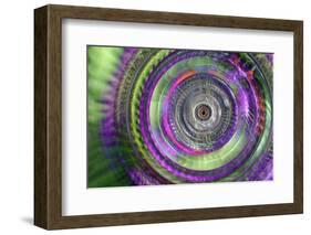 Lavender and leaves-Heidi Westum-Framed Photographic Print