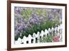 Lavender And Picket Fence-Tony Craddock-Framed Photographic Print