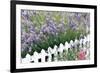 Lavender And Picket Fence-Tony Craddock-Framed Photographic Print