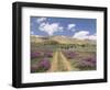 Lavender and Spring Flowers on the Road from the Bekaa Valley to the Mount Lebanon Range, Lebanon-Gavin Hellier-Framed Photographic Print