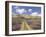 Lavender and Spring Flowers on the Road from the Bekaa Valley to the Mount Lebanon Range, Lebanon-Gavin Hellier-Framed Photographic Print