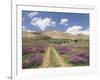 Lavender and Spring Flowers on the Road from the Bekaa Valley to the Mount Lebanon Range, Lebanon-Gavin Hellier-Framed Photographic Print