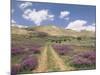 Lavender and Spring Flowers on the Road from the Bekaa Valley to the Mount Lebanon Range, Lebanon-Gavin Hellier-Mounted Photographic Print
