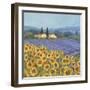 Lavender And Sunflowers, Provence-Hazel Barker-Framed Giclee Print