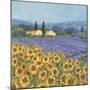 Lavender And Sunflowers, Provence-Hazel Barker-Mounted Giclee Print