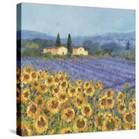 Lavender And Sunflowers, Provence-Hazel Barker-Stretched Canvas