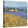 Lavender And Sunflowers, Provence-Hazel Barker-Stretched Canvas