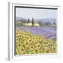 Lavender and Sunflowers, Provence-Hazel Barker-Framed Premium Giclee Print