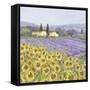 Lavender and Sunflowers, Provence-Hazel Barker-Framed Stretched Canvas