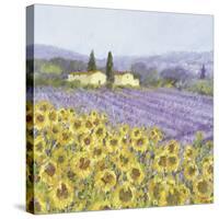 Lavender and Sunflowers, Provence-Hazel Barker-Stretched Canvas