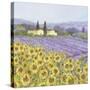 Lavender and Sunflowers, Provence-Hazel Barker-Stretched Canvas