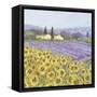 Lavender and Sunflowers, Provence-Hazel Barker-Framed Stretched Canvas