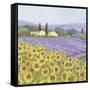 Lavender and Sunflowers, Provence-Hazel Barker-Framed Stretched Canvas