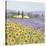 Lavender and Sunflowers, Provence-Hazel Barker-Stretched Canvas