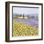 Lavender and Sunflowers, Provence-Hazel Barker-Framed Art Print