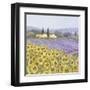 Lavender and Sunflowers, Provence-Hazel Barker-Framed Art Print