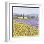 Lavender and Sunflowers, Provence-Hazel Barker-Framed Art Print
