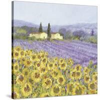 Lavender and Sunflowers, Provence-Hazel Barker-Stretched Canvas