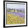 Lavender and Sunflowers, Provence-Hazel Barker-Framed Premium Giclee Print