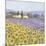Lavender and Sunflowers, Provence-Hazel Barker-Mounted Premium Giclee Print