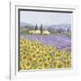 Lavender and Sunflowers, Provence-Hazel Barker-Framed Art Print