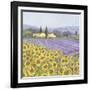 Lavender and Sunflowers, Provence-Hazel Barker-Framed Art Print