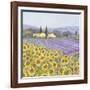 Lavender and Sunflowers, Provence-Hazel Barker-Framed Art Print