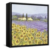 Lavender and Sunflowers, Provence-Hazel Barker-Framed Stretched Canvas