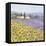 Lavender and Sunflowers, Provence-Hazel Barker-Framed Stretched Canvas