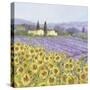 Lavender and Sunflowers, Provence-Hazel Barker-Stretched Canvas