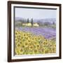 Lavender and Sunflowers, Provence-Hazel Barker-Framed Art Print