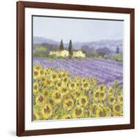 Lavender and Sunflowers, Provence-Hazel Barker-Framed Art Print