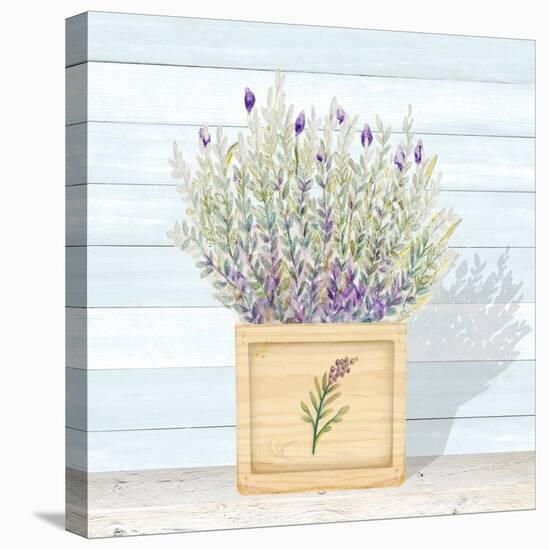 Lavender and Wood Square III-Janice Gaynor-Stretched Canvas