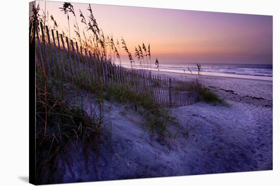 Lavender Beach I-Alan Hausenflock-Stretched Canvas