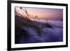 Lavender Beach I-Alan Hausenflock-Framed Photographic Print