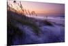 Lavender Beach I-Alan Hausenflock-Mounted Photographic Print